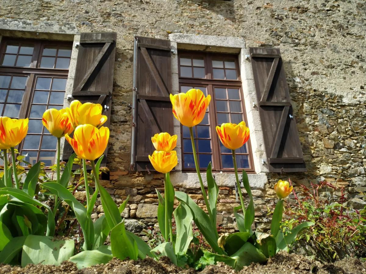 Chambre D'Hote Manoir De La Baudonniere Monsireigne Экстерьер фото